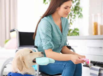 Therapy Pets, Service Dogs and Emotional Support Pets, Oh My - What You Need to Know